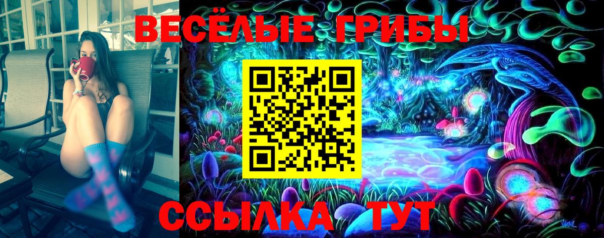 Галлюциногенные грибы Psilocybe  Вход с VPN  Псилоцибиновые грибы Psilocybine cubensis  Кимовск 