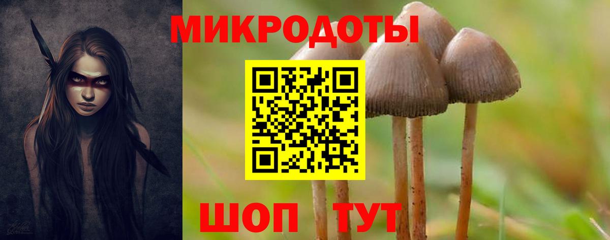 Псилоцибиновые грибы мицелий Кимовск